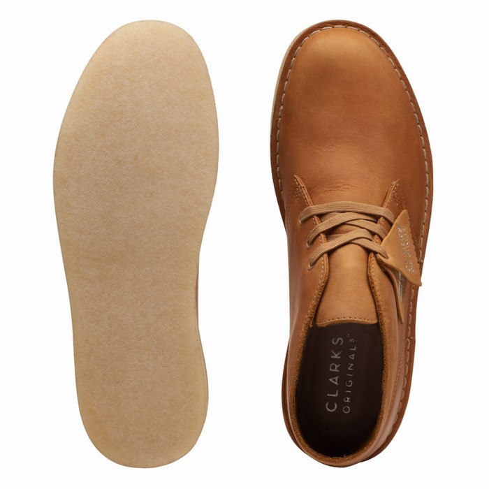 Bottes Clarks Desert Coal Homme Marron | 6ZCD0YJS